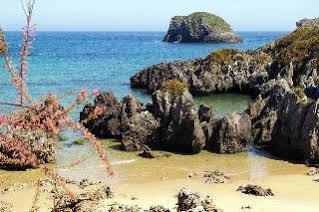 Apartamentos Albatros Llanes Extérieur photo